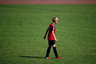 开云体育链接-NBA球员高原训练对平原比赛状态的影响，平原运动员进行高原训练原因